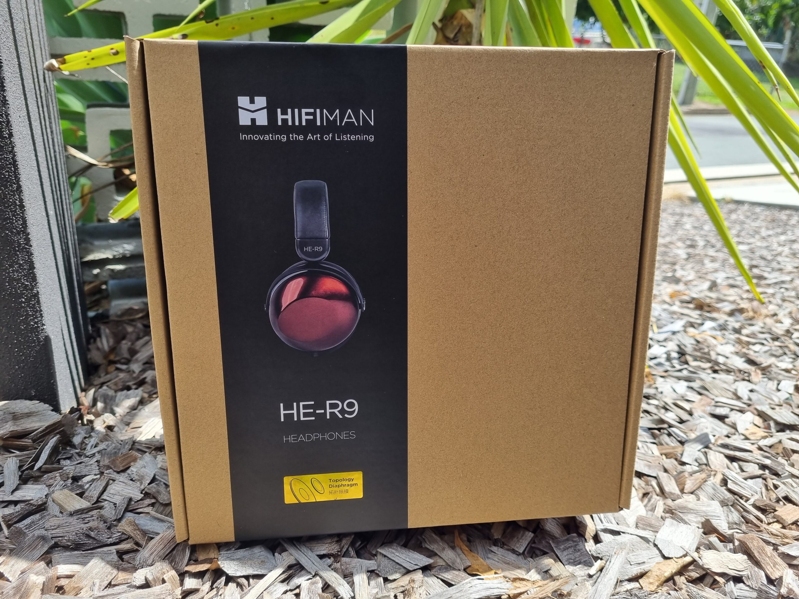 Hifiman RE9 in box on pebbles outdoors in front of a potted plant