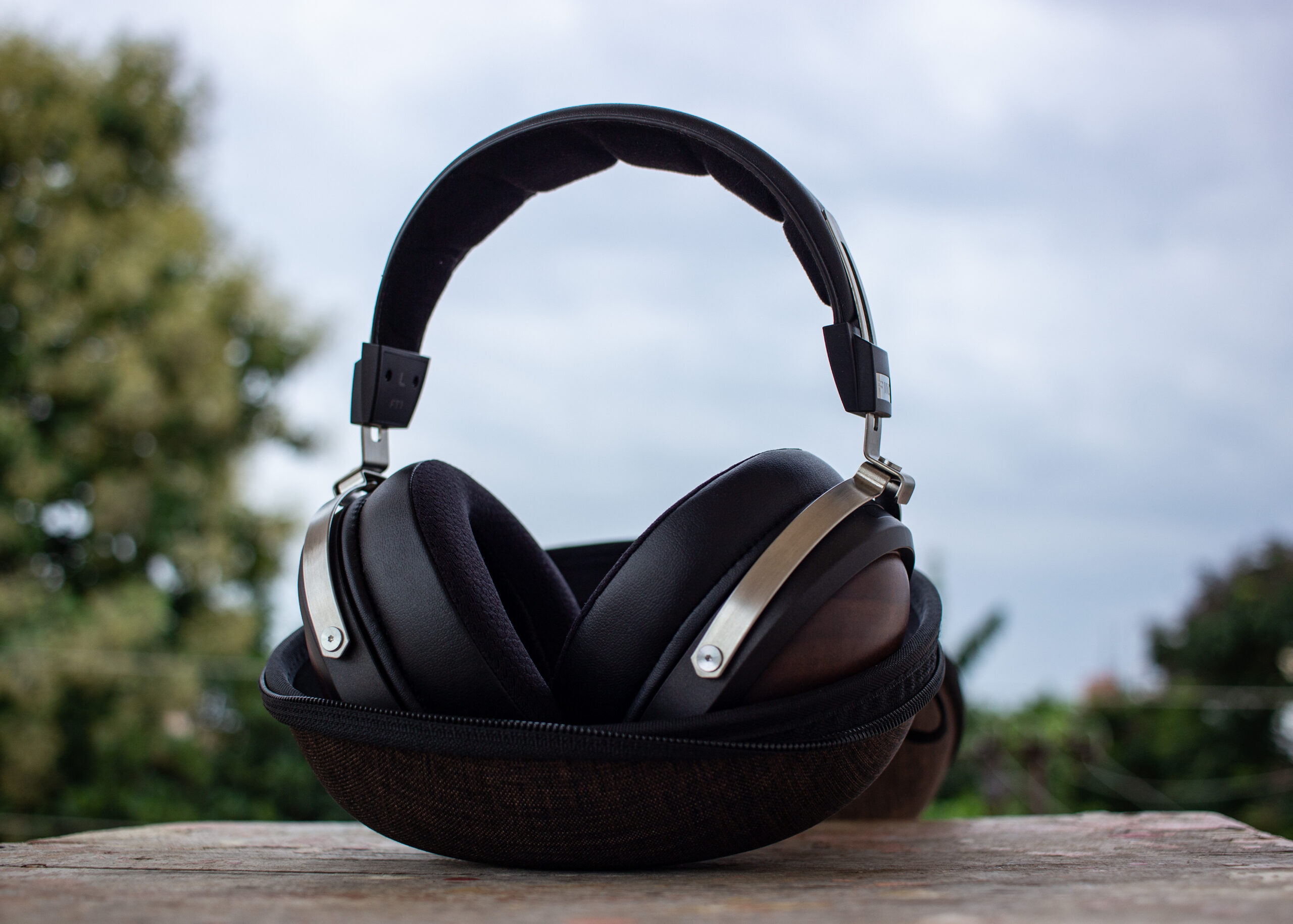 fiio FT1＆EarProfit PERFORMセット fiio FT1＆EarProfit PERFORMセット fiio FT1＆EarProfit